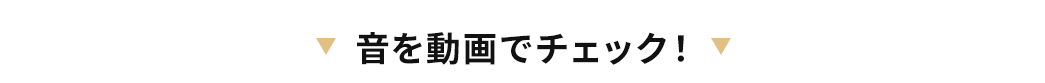 音を動画でチェック!