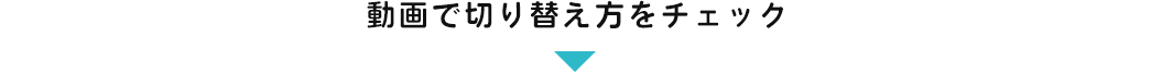 動画で切り替え方をチェック