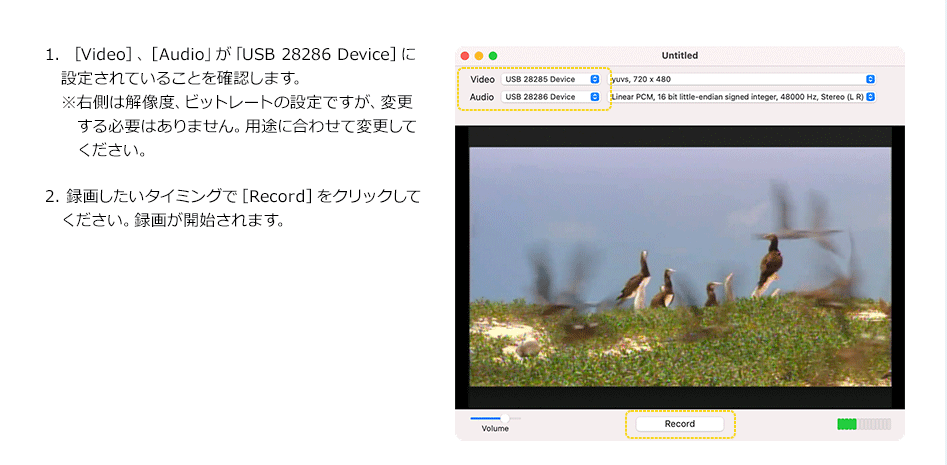 1. ［Video］、［Audio」が「USB 28286 Device］に設定されていることを確認します。　※右側は解像度、ビットレートの設定ですが、変更する必要はありません。用途に合わせて変更してください。　2. 録画したいタイミングで［Record］をクリックしてください。録画が開始されます。