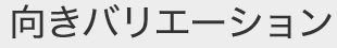 向きバリエーション