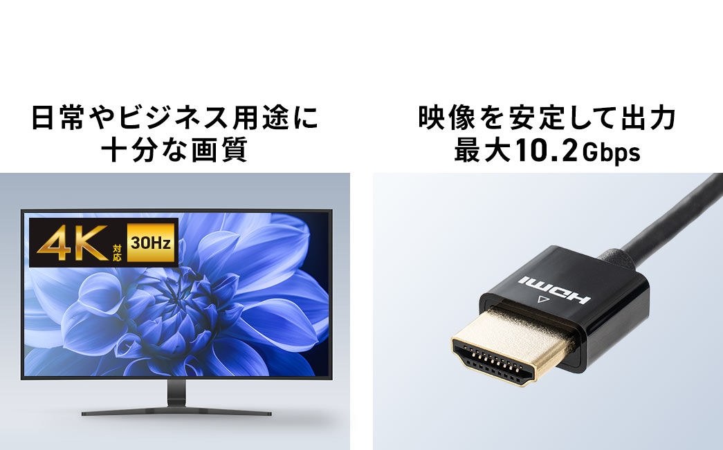 日常やビジネス用途に十分な画質に対応し、映像を安定して出力できる伝送速度最大10.2Gbps。