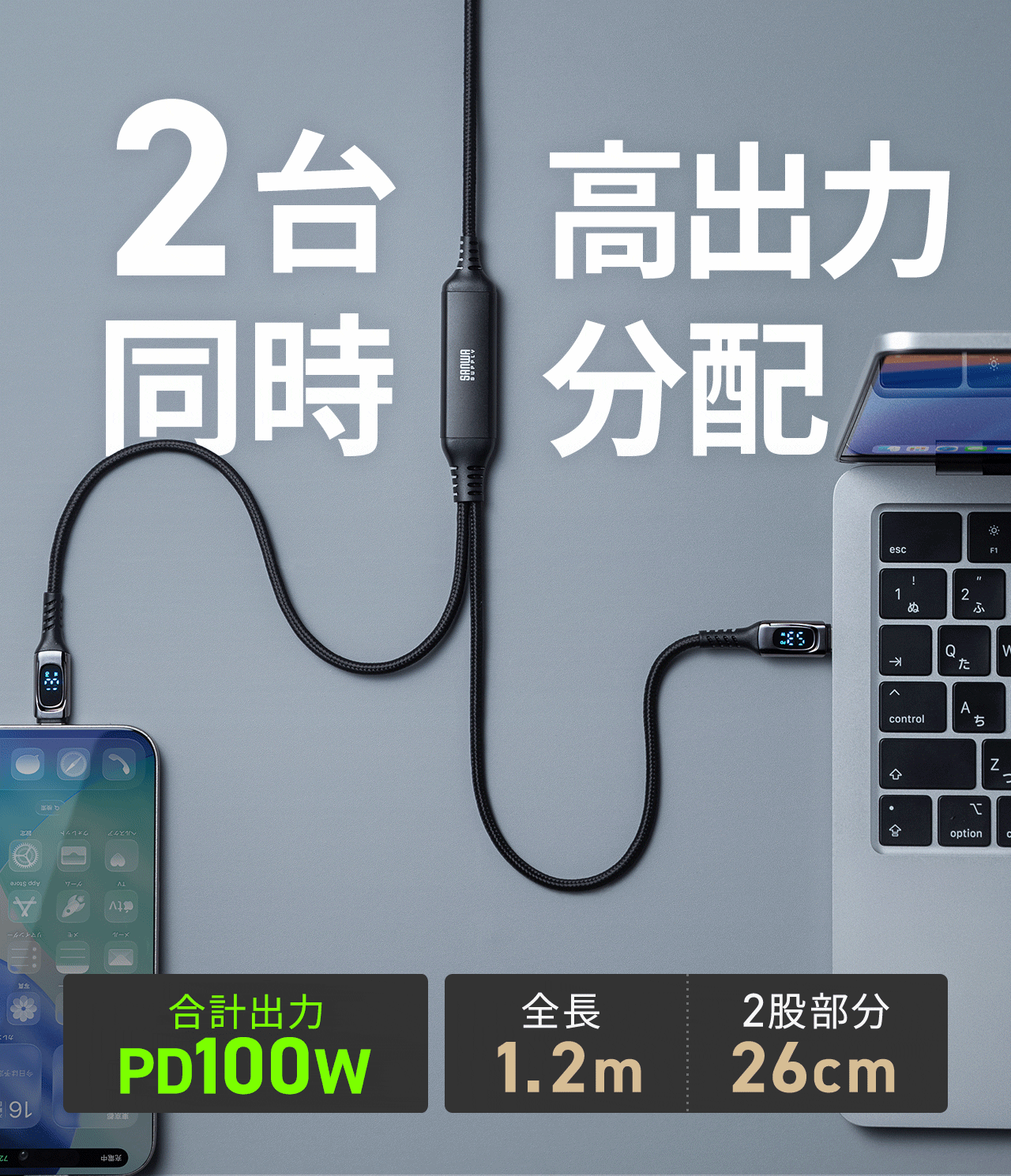 2台同時、高出力分配。合計100wまでの電力供給に。全長1.2m、2股部分26cm。