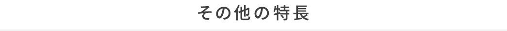 その他の特長