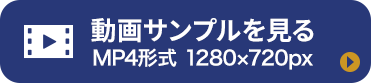 動画サンプルを見る：AVI形式 1280×720px