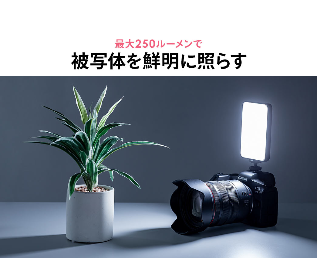 最大250ルーメンで被写体を鮮明に照らす