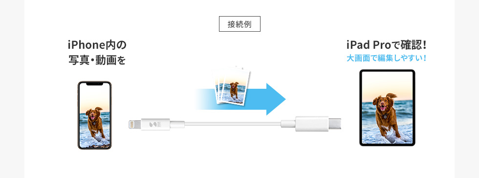 接続例 iPhone内の写真・動画をiPad Proで確認