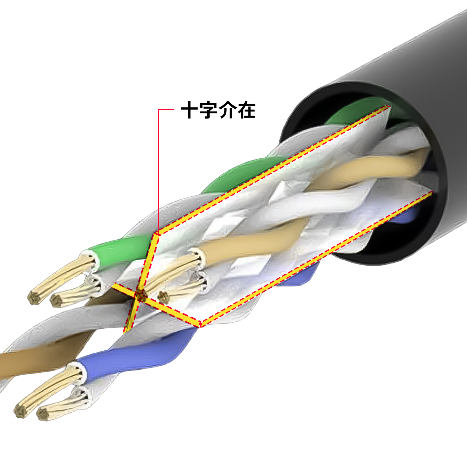 ケーブル内部の画像
