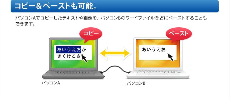 コピー＆ペーストも可能