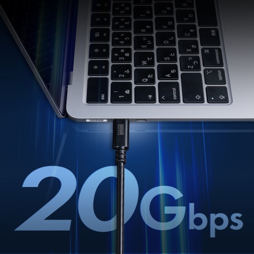 最大20Gbpsの高速データ転送
