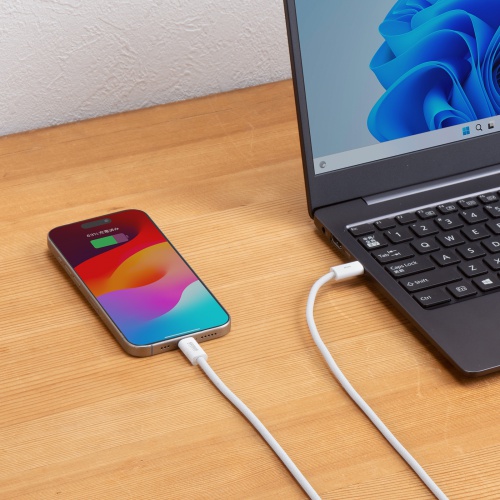 PD60Wの急速充電、さまざまなType-Cデバイスに対応