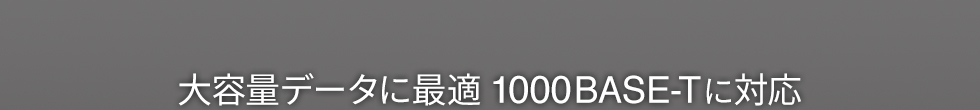 大容量データに最適　1000BASE-Tに対応