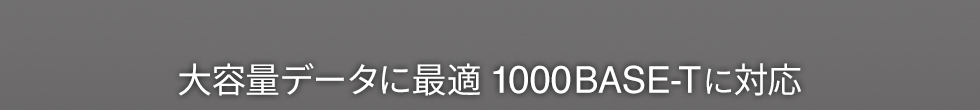 大容量データに最適　1000BASE-Tに対応