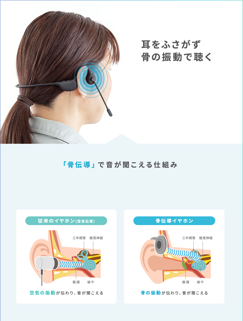 耳をふさがず 骨の振動で聴く 「骨伝導」で音が聞こえる仕組み