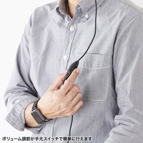 MM-HSTC03SVの画像