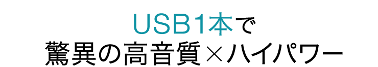 USB1本で驚異の高音質×ハイパワー