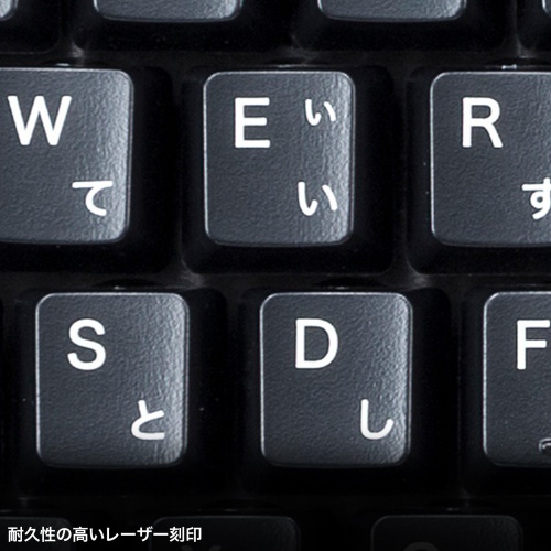 SKB-P1BKの画像