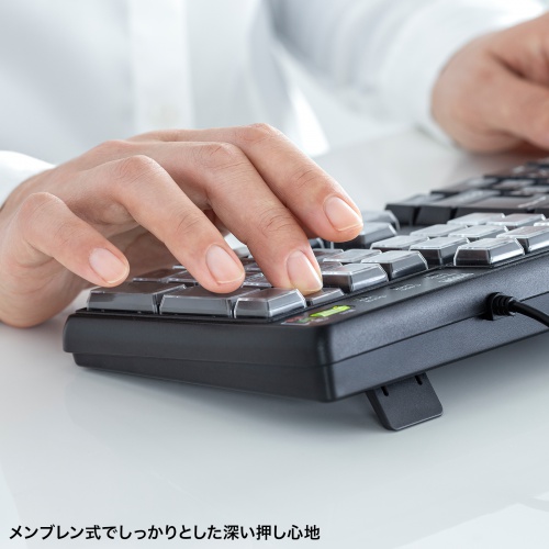 SKB-P1BKの画像