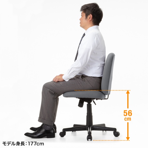 モデル身長177cm