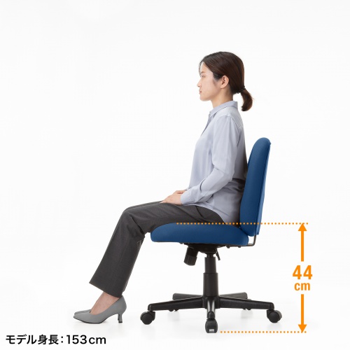 モデル身長153cm