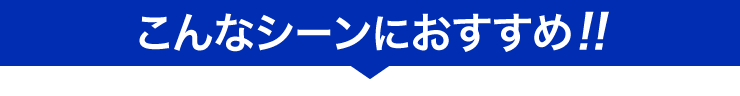 こんなシーンにおすすめ