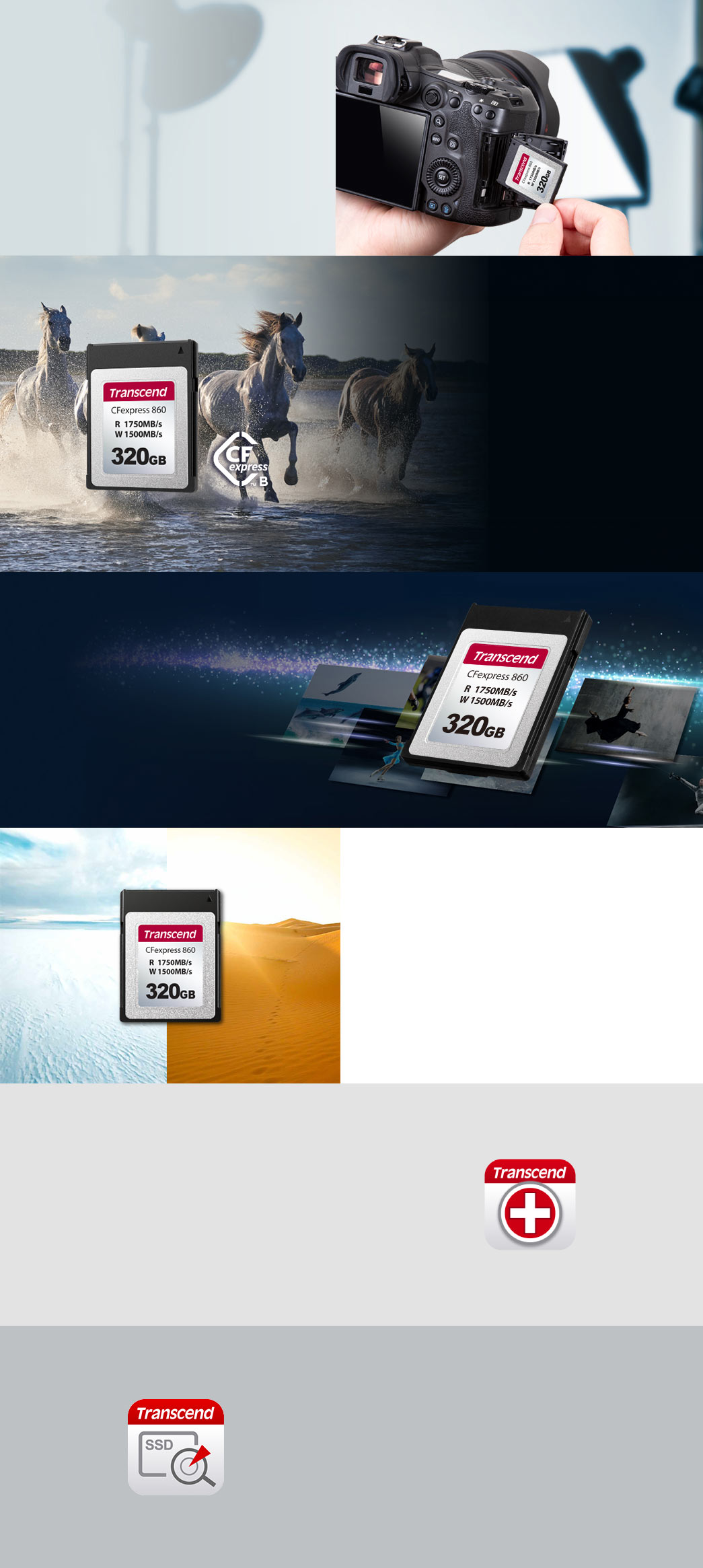 TS320GCFE860の画像