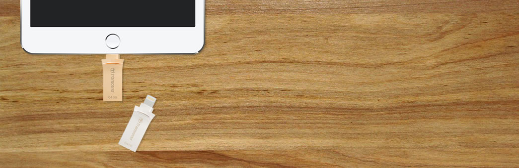 TS64GJDG500シリーズの画像