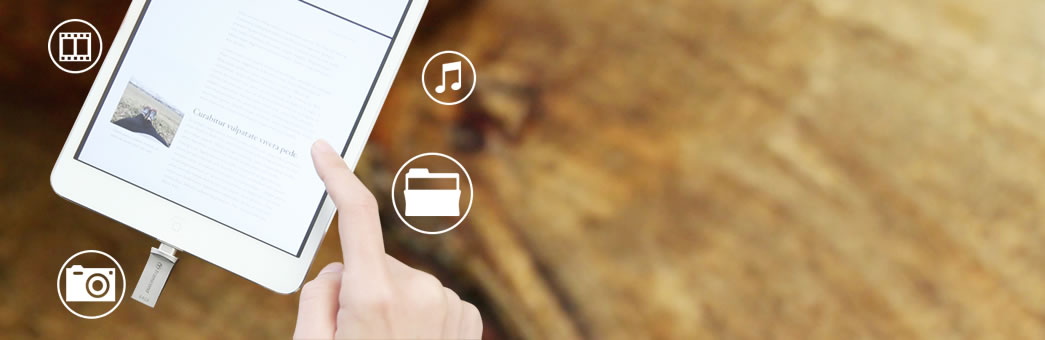 TS64GJDG500Sの画像