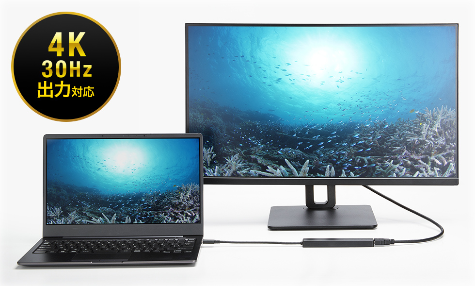 HDMI(4K/30Hz)で高画質出力