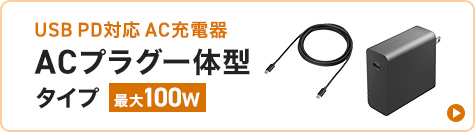 USB PD対応AC充電器（PD100W・Type-Cケーブル付き）
