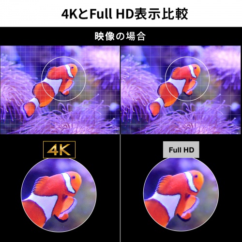 4KとHULL HD表示比較　映像の場合