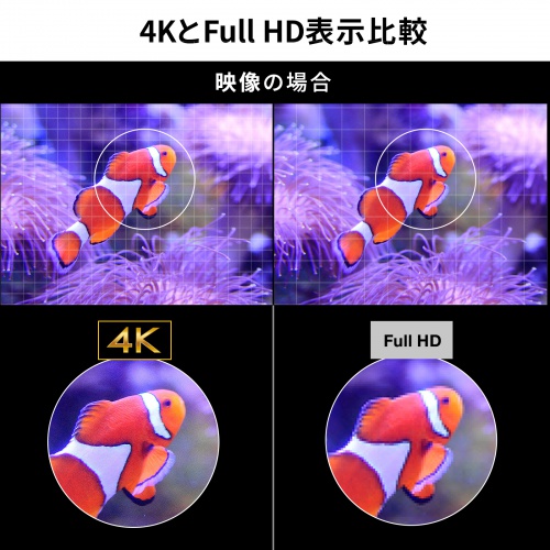 4KとHULL HD表示比較　映像の場合