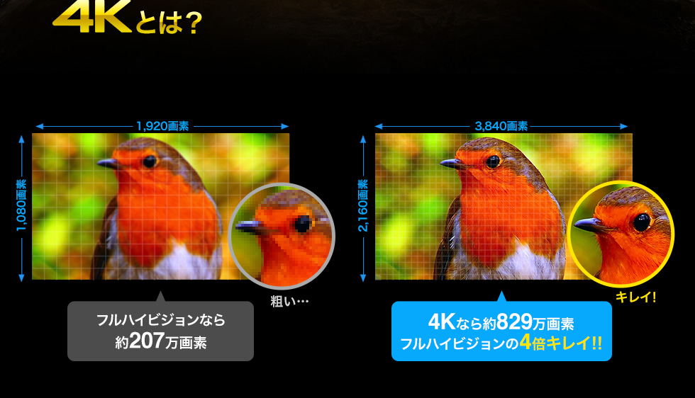 4Kとは　フルハイビジョンなら約207万画素　4Kなら約829万画素　フルハイビジョンの4倍キレイ！！