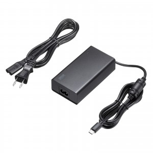 PD100W
