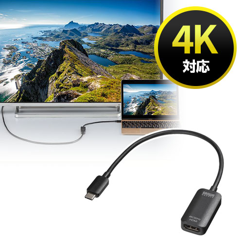 y󂠂VizType-CϊA_v^iHDMIE߁EiPhone15ΉEiPhone15plusΉEubNj AD-ALCHD02 TTvC