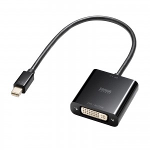 Mini DisplayPort → DVI
