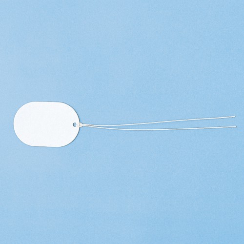 �t�@�C�o�[�^�O�i���ʗp�^�O�E37×55mm�EL�T�C�Y�j CA-TAG137N �T�����T�v���C