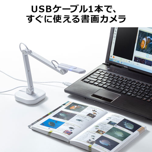 書画カメラ Usb 高画質 ズーム 7倍 A3 800万画素 Led 折りたたみ Cms V46w サンワサプライ 激安通販のイーサプライ