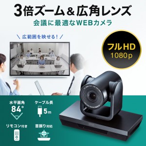 サンワサプライ Webカメラセット CMS-V31SETBK 130万画素 CMS-V31SETBK【WEBカメラセット（ブラック）】ドライバ不要のお