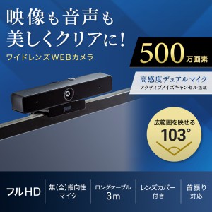 Webカメラ｜広角・高品質・ノイズキャンセル・CMS-V51BK