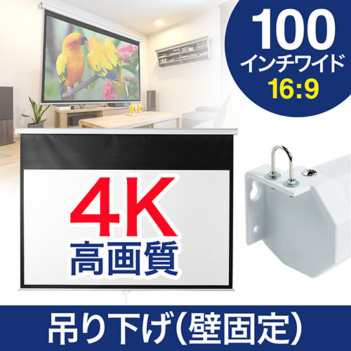 プロジェクタースクリーン 100インチ ワイド 4k 高解像度 吊り下げ 天吊 壁掛け ロール スプリング 手動 16 9 Eex Pst2 100khd 激安通販のイーサプライ プロジェクタースクリーン 100インチ ワイド 4k 高解像度 吊り下げ 天吊 壁掛け ロール スプリング 手動 16 9 Eex Pst2 100khd 激安通販のイーサプライ