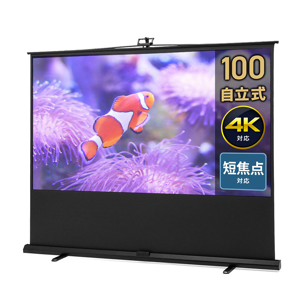 100インチ