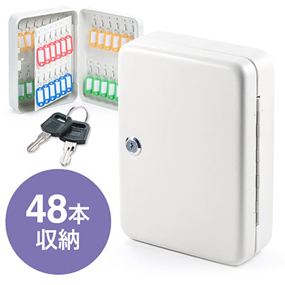 キーボックス(鍵収納ケース・カギ・48個収納・小型・壁掛け・セキュリティ・キーホルダー付・キーキャビネット・シリンダー錠・スペアキー)