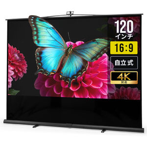 120インチ