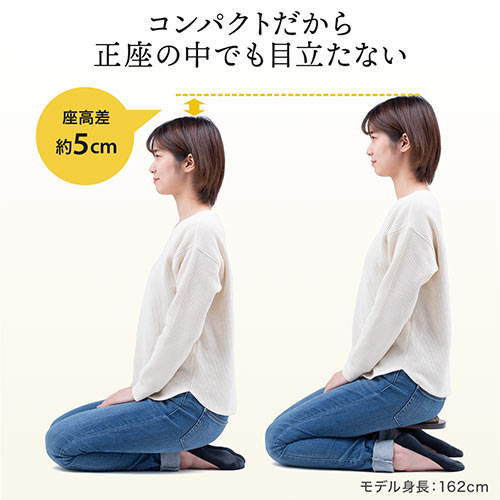 正座椅子 法事 しびれ あぐら 腰痛対策 コンパクト 軽量 携帯 クッション付き 木製 耐荷重100kg おすすめ Ez15 Sncf022 激安通販のイーサプライ