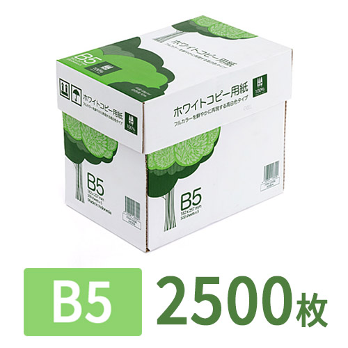 コピー用紙（B5サイズ・500枚×5冊・2500枚・高白色） EZ3-CP1B5 サンワダイレクト