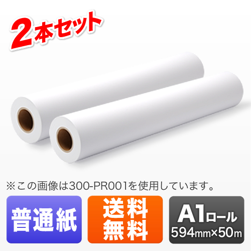 vb^[pE[iʎE^CvEA1[E594mm×50mE2Rj EZ3-PR037 TTvC