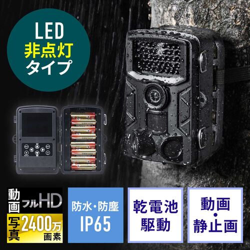 専用　トレイルカメラ2台セット ラディアント2K(TL-8000DTK)｜不可視赤外線搭載屋外設置対応