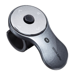 ガンメタリック