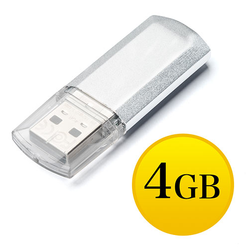 USBメモリ(4GB・キャップ式・名前入れ対応)
