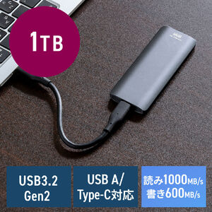 外付けSSD(1TB・容量・PC・ゲーム・おすすめ）USSDL1TB